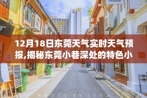 东莞天气实时播报，小巷特色小店与天气的美妙邂逅