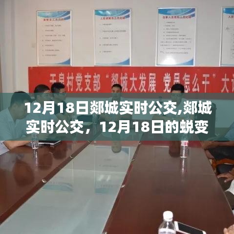 12月18日郯城实时公交，蜕变与启示