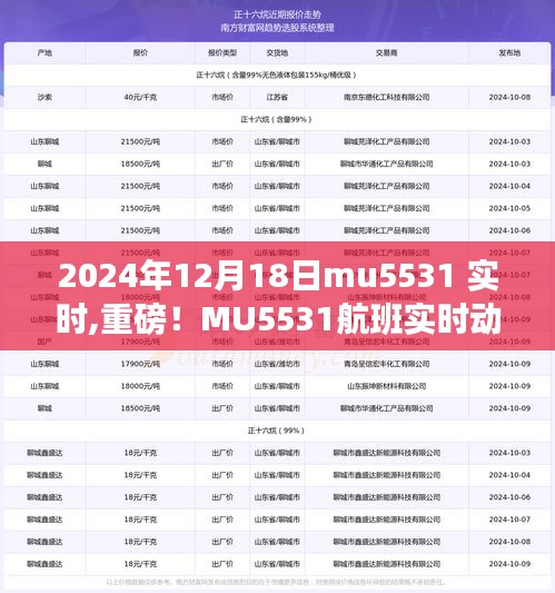 独家报道，MU5531航班实时动态揭秘，启程时刻尽在掌握——小红书实时更新通知