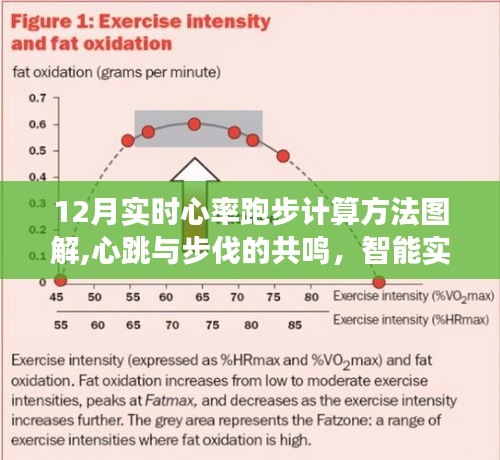 智能实时心率跑步计算器的革新之旅，心率与步伐的共鸣图解指南