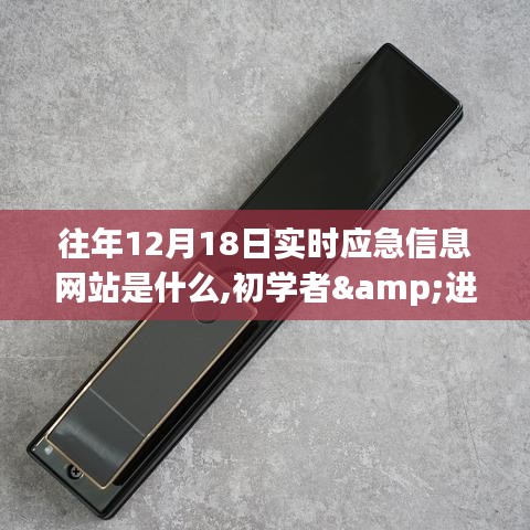 往年12月18日实时应急信息网站查询指南，初学者与进阶用户操作教程