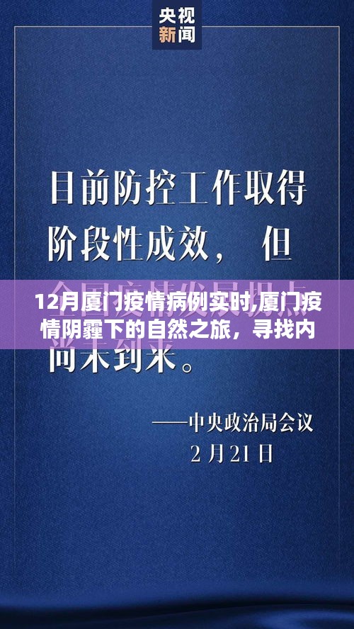 厦门疫情阴霾下的自然之旅与内心力量的探寻，实时病例追踪与心灵宁静之旅