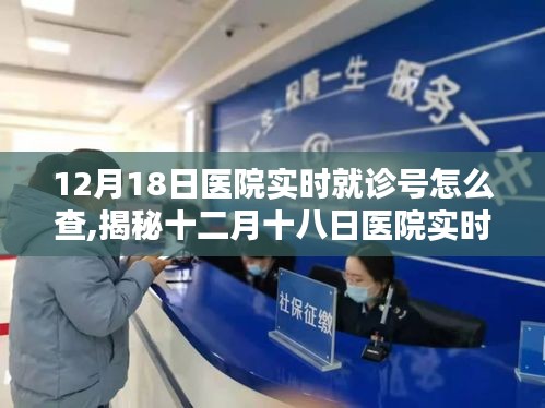 揭秘十二月十八日医院实时就诊号查询方法与技巧探讨