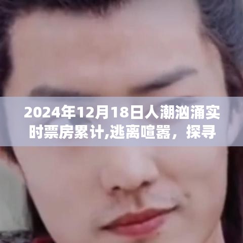 心灵探寻之旅，自然美景下的票房新篇章