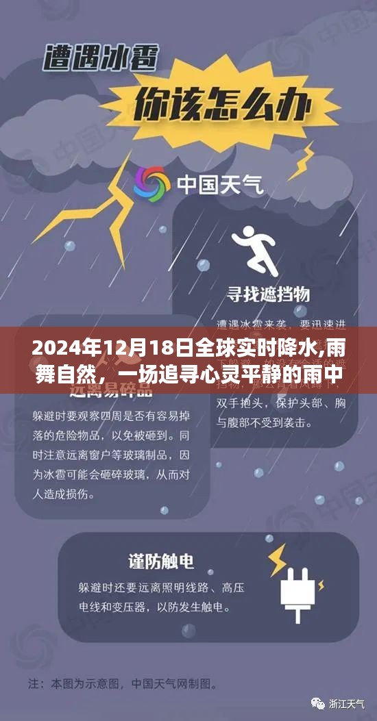 心灵平静之旅，全球实时降水下的雨中探险与自然的舞蹈（2024年12月18日）