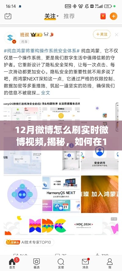 揭秘，如何在12月高效刷微博实时视频——实用指南攻略分享！