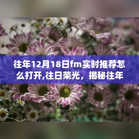 开启之旅