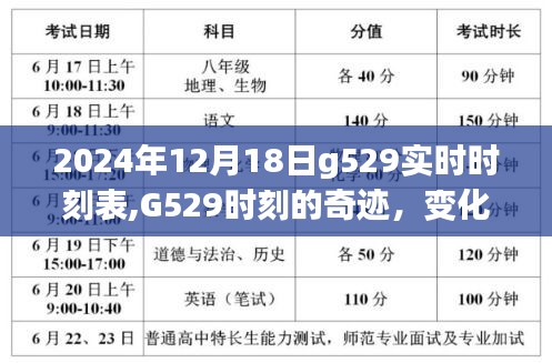 乌鸟之情 第3页