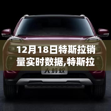 特斯拉销量背后的励志故事，变化、学习与自信的力量，实时数据解析（12月18日）