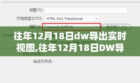往年12月18日DW实时视图导出步骤详解及指南