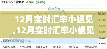 12月实时汇率波动深度解析，小组见面探讨汇率波动影响