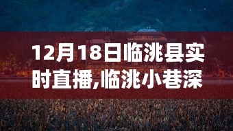 临洮小巷深处的宝藏小店，直播探秘之旅