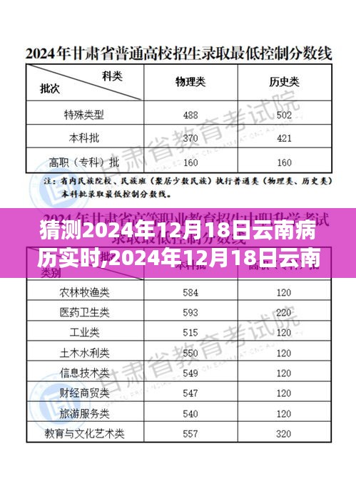 深度剖析，2024年12月18日云南病历实时洞察——背景、事件与影响全解析