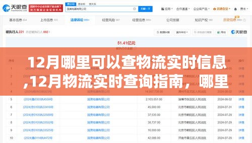 12月物流实时查询指南，追踪货物动态的最佳途径
