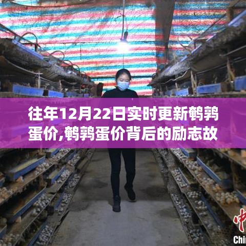鹌鹑蛋价背后的励志故事，自信闪耀，梦想起航之路