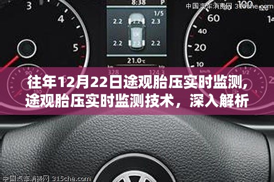 越鸟南栖 第3页