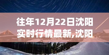 沈阳冬日暖阳下的奇遇，实时行情与暖心故事回顾（12月22日）