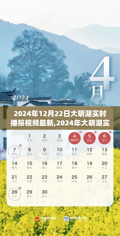 大明湖实时播报，深度探索与独特体验（最新资讯，2024年12月）
