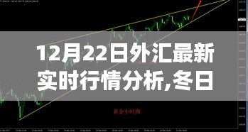 冬日外汇故事，最新实时行情分析与家庭的温馨时光