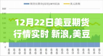 12月22日美豆期货行情实时更新，新浪财经下的期货风云与温馨日常的奇幻旅程