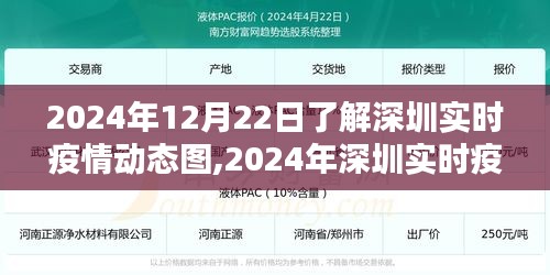掌握最新深圳疫情动态，2024年深圳实时疫情动态图查看指南