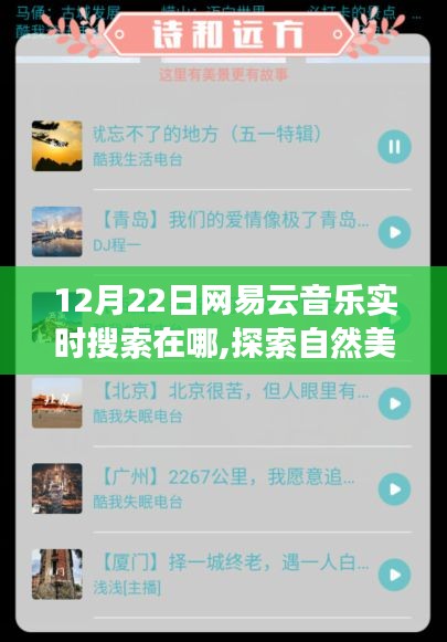 12月22日网易云音乐探索内心平静之声，实时搜索与自然美景之旅