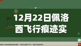 佩洛西飞行轨迹背后的励志故事，自信成就飞翔之旅的壮丽篇章
