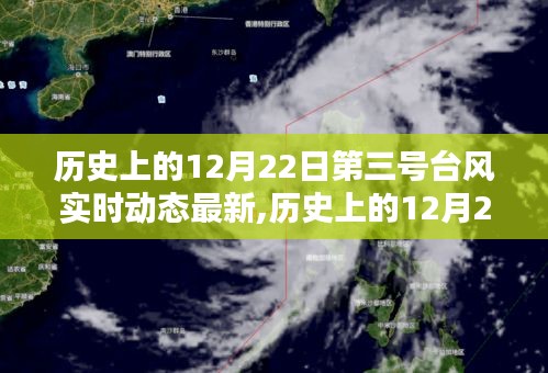 历史上的第三号台风深度解析，实时动态与多方观点探讨