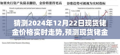 2024年12月22日现货铑金价格走势预测，初学者与进阶用户指南