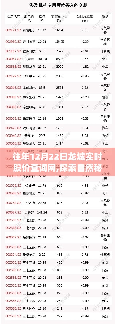 龙城股价查询网，探索自然秘境，心灵宁静之旅的股价探索之旅
