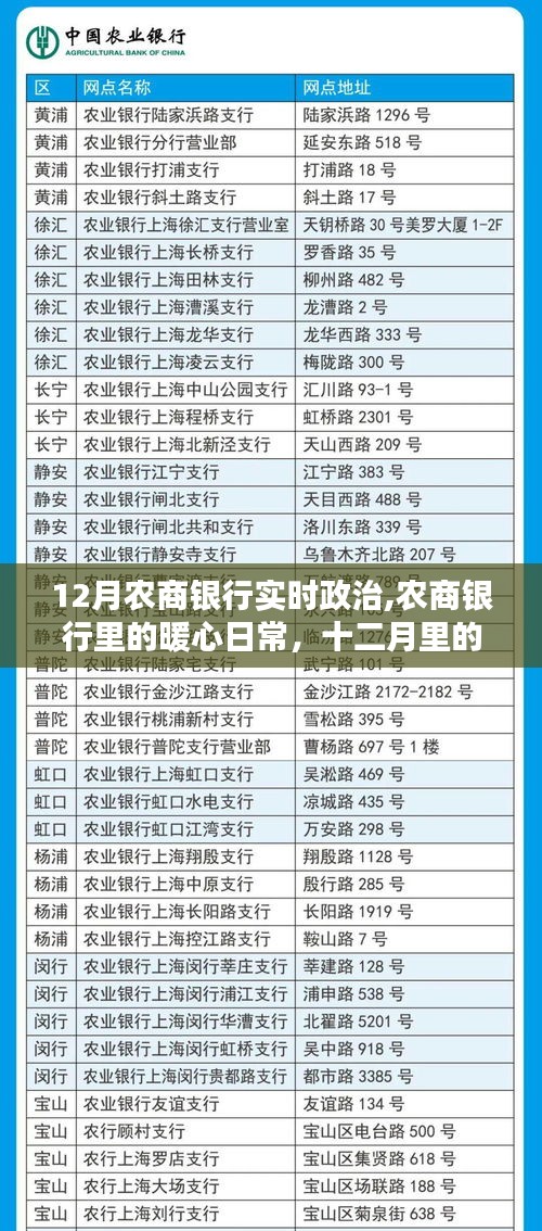 农商银行十二月暖心日常，政治学习与暖心服务的交织时光