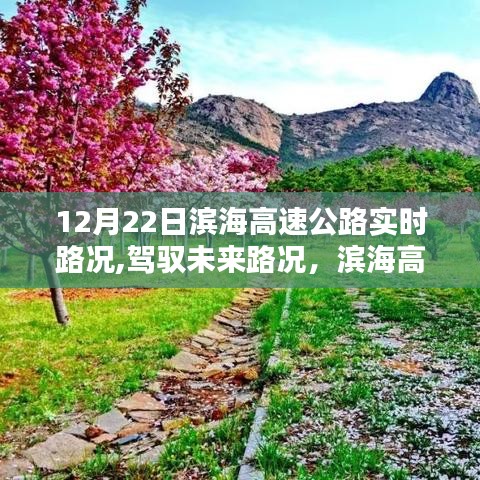 滨海高速公路智能导航实时路况系统体验报告，驾驭未来路况的实时追踪（12月22日）