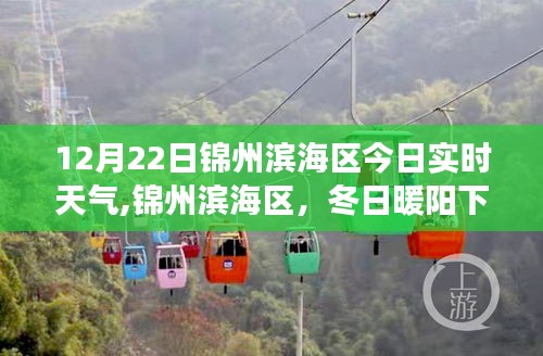 12月22日锦州滨海区实时天气，冬日暖阳下的心灵探索之旅