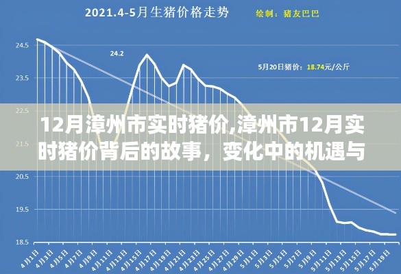 漳州市实时猪价背后的故事，机遇与挑战中的自我超越旅程在变化中的探索与成长