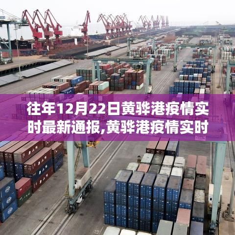 黄骅港疫情实时通报系统评测，特性、用户体验与竞品对比，最新实时通报消息汇总分析标题