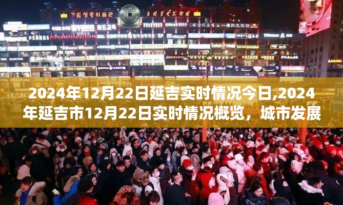 2024年12月22日延吉市实时情况概览，城市发展的微观脉络