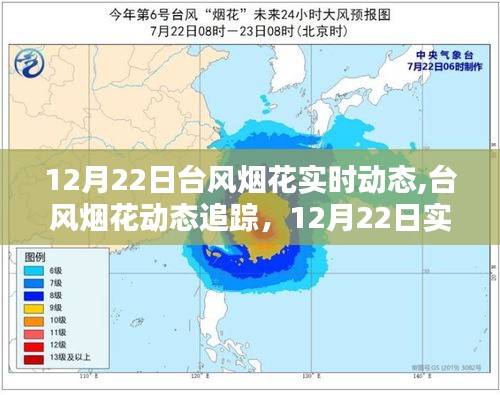 台风烟花动态追踪，12月22日实时监测与应对指南