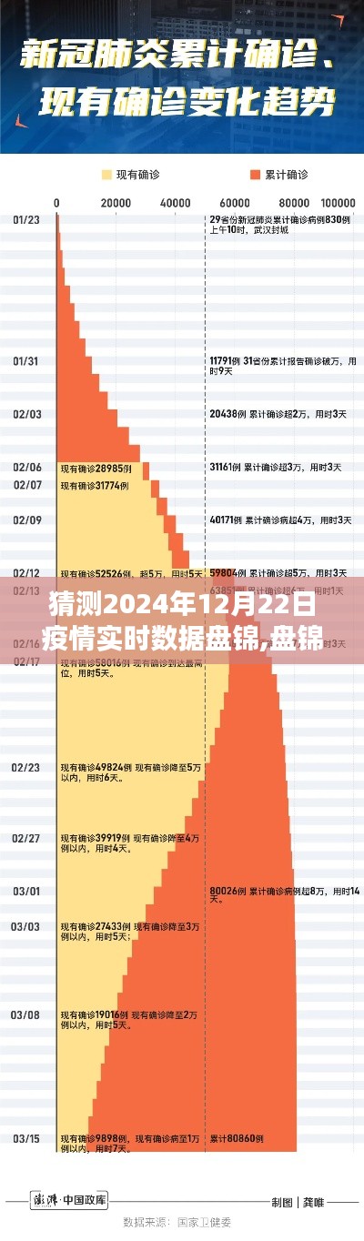 盘锦时光，疫情下的日常猜想与家的温暖，预测2024年疫情实时数据展望