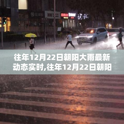 往年12月22日朝阳大雨实时动态及全面评测报告