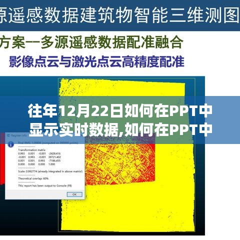 PPT实时数据展示指南，从初学者到进阶用户的实用教程