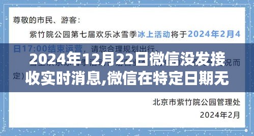 微信无法接收实时消息背后的原因及解决方案，以案例解析特定日期问题（2024年12月22日）