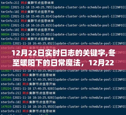 冬至暖阳下的日常魔法，12月22日实时日志之旅