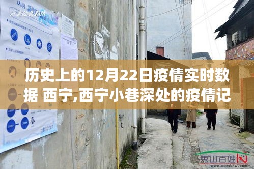 西宁疫情历史数据回顾，小巷深处的记忆与美食宝藏中的独特故事