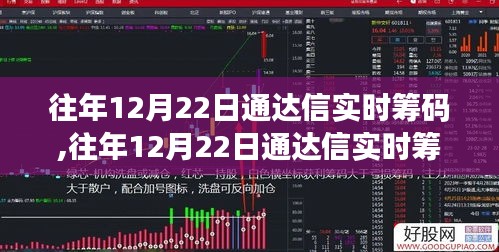 往年12月22日通达信实时筹码深度解析与观察