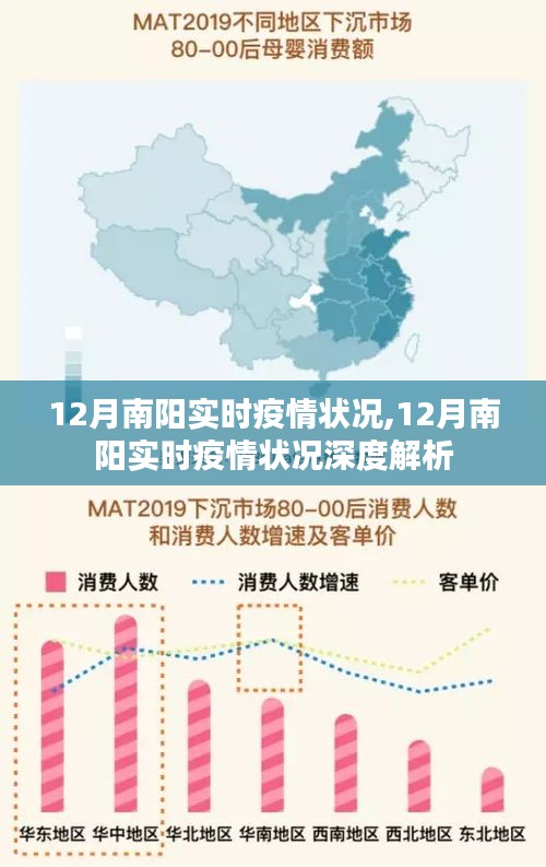 深度解析，南阳12月实时疫情状况全面观察