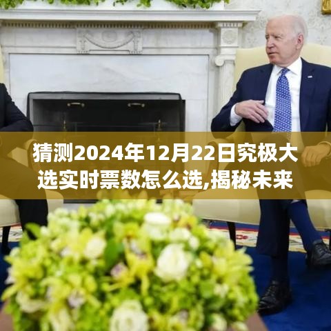 揭秘未来之旅，探寻大选背后的故事，心灵深处的宁静之地预测2024年大选实时票数走向分析