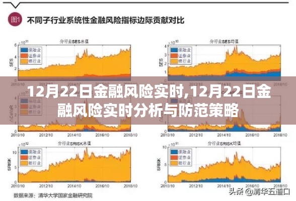 12月22日金融风险实时分析与防范策略探讨