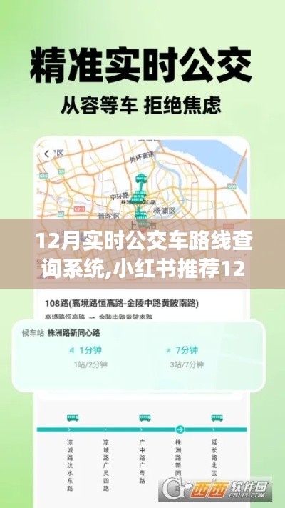 小红书推荐，12月实时公交车路线查询系统，出行必备神器！