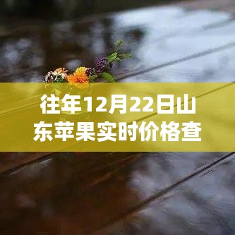 山东苹果实时价格查询网，冬日里的苹果情缘与温馨果价故事
