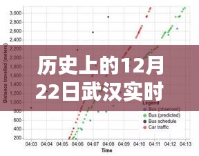 历史上的武汉实时体温监测，深度评测与介绍——聚焦武汉体温监测的历程与重要性分析
